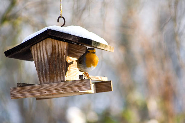 Vogelfutterhӓuser